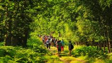 La randonnée pédestre dans la forêt de Boulogne