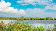 Nationalpark Lauwersmeer