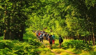 La randonnée pédestre dans la forêt de Boulogne