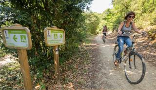 Le réseau cyclable de La Barre-de-Monts