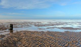 La réserve des Wadden