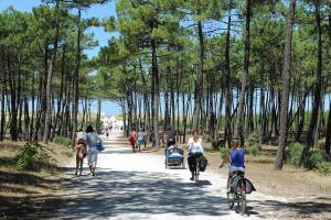 Un tour en forêt